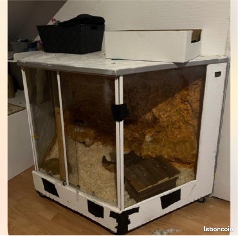 Vivarium (image 2)