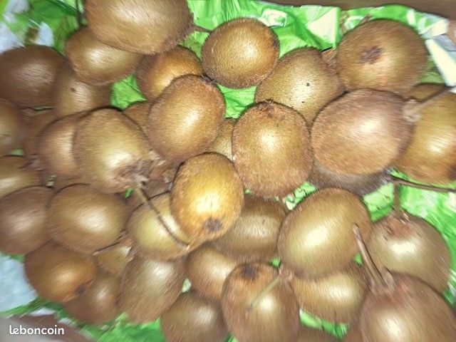 Kiwi bio vert (image 1)