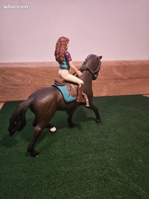 Cheval et sa cavalière (image 5)