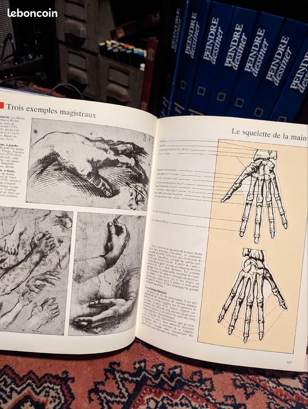 Collection Peindre/Dessiner de Larousse (image 4)
