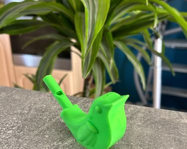 Sifflet Appeau Oiseaux En Bois – Son Naturel Réaliste – Pour Chasse, Ornithologie, Débutants Adultes