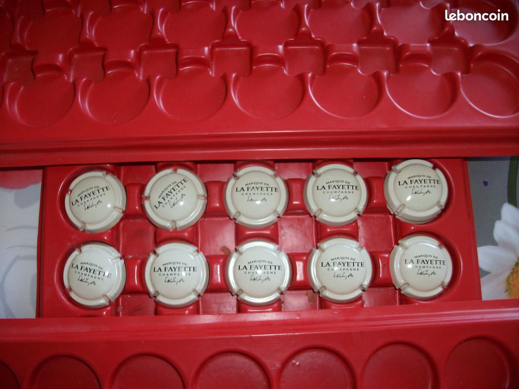 Lot de 10 nouvelles capsules de champagne marquis (image 1)