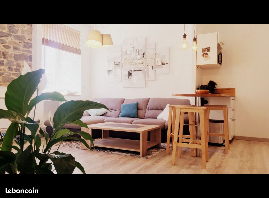 Appartement 2 pièces 35 m² · à Millau · 35 m² · 580 €