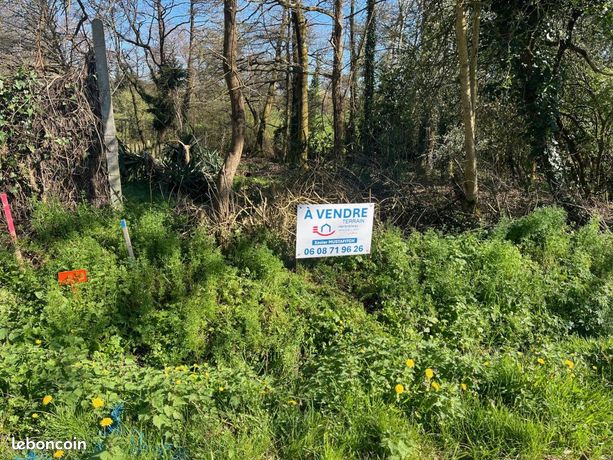 Terrain 1 205 m² Saint Georges De Pointindoux