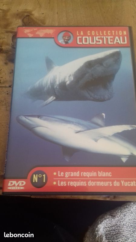 Collection Cousteau n°1 (image 1)