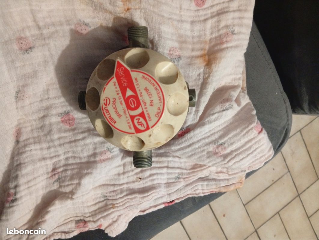 Détendeur Inverseur Gaz Propane GURTNER DILP - NF (image 3)