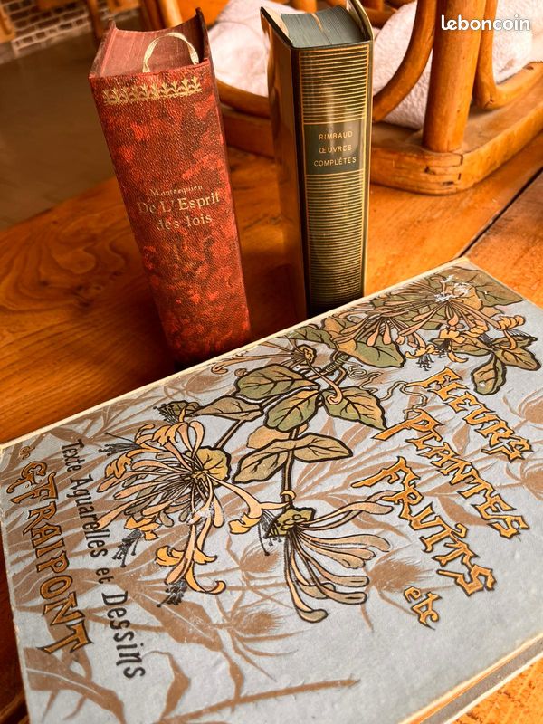 Livre Fleurs, Plantes, Fruits. Le monde végétal de G Fraipont (image 2)