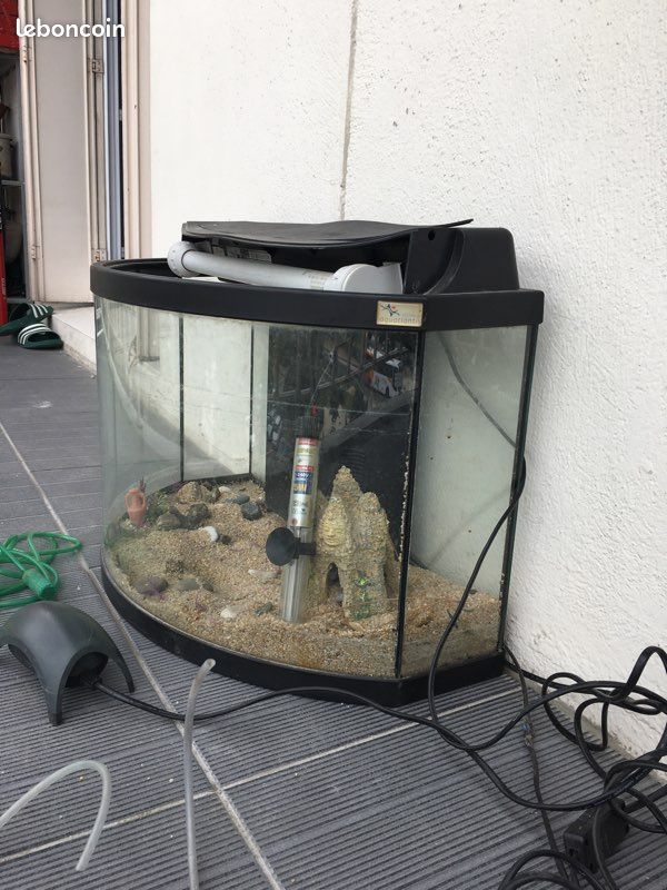 Aquarium (image 2)