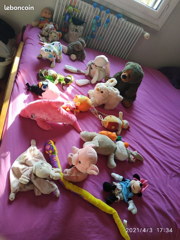 Peluche et compagnie (image 1)