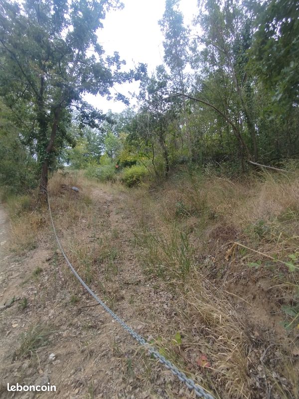Terrain agricole 2 hectares à vendre – Los Masos (66) – 18 000 · à Prades · 18 000 €