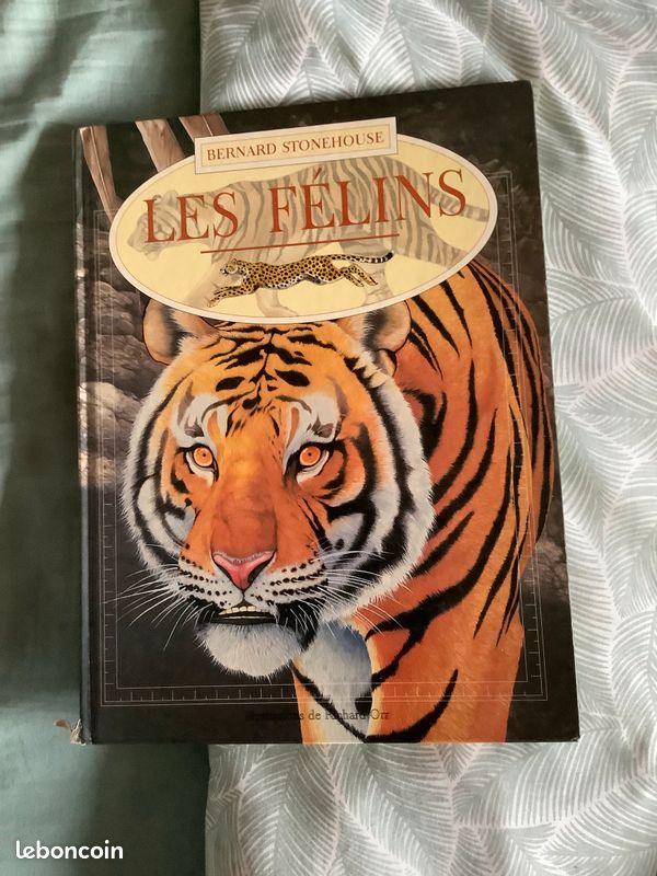 Livres sur les animaux, les dinosaures et le corps humain (image 9)