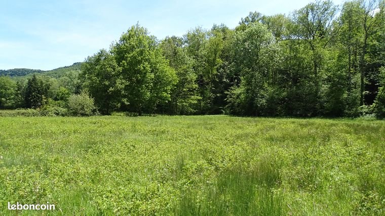Terrain 3002 m² BENAIX