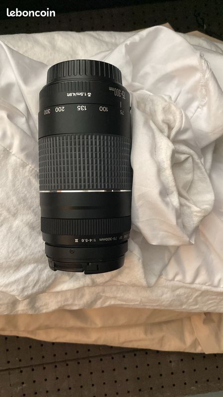 Objectif Canon 75-300 (image 2)