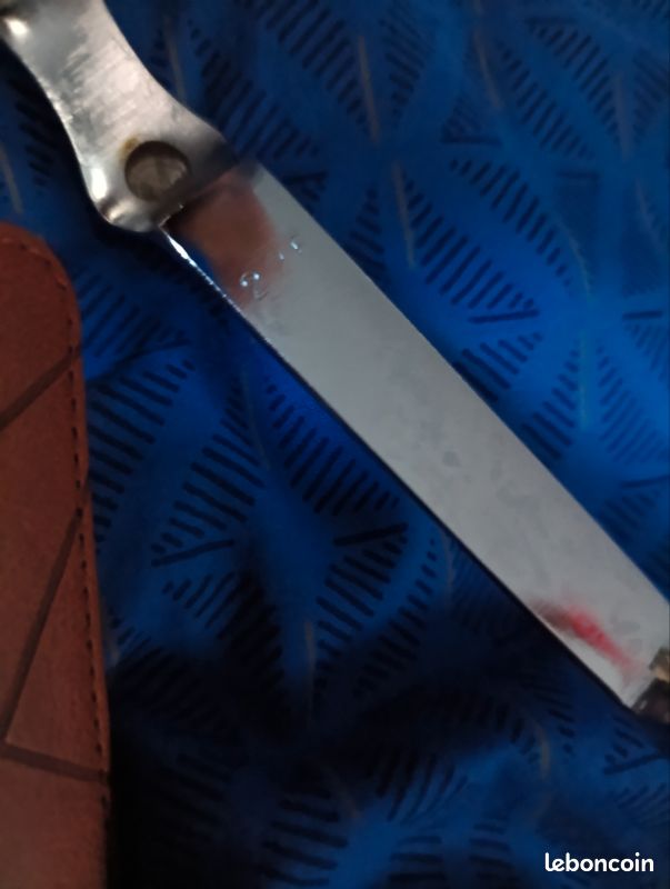 Ciseau a herbes victorinox (image 4)