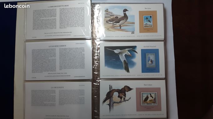 Timbres Belgique 1994 Oiseaux - Série Complète 2585x-2586y Neufs Avec Gomme Originale ** MNH - Collection Philatélie