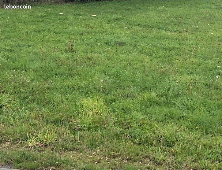 Terrain 430 m² · à Saint-Étienne-de-Montluc · 105 000 €