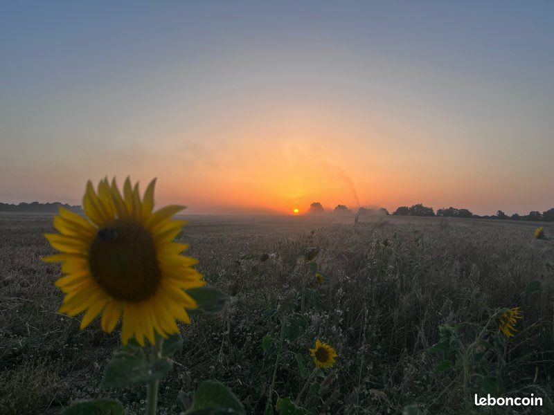 Parcelle prairie · à Écueillé · 12 500 €