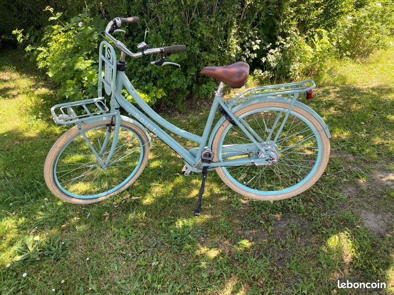 Vélo dame hollandais Spirit Cargo (image 2)