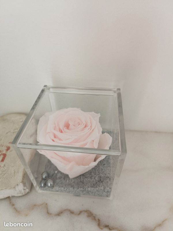 Rose éternelle en coffret (image 1)