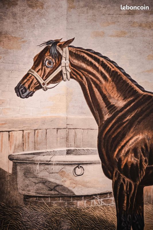 Estampe Originale 1890 – Vainqueur Exposition Cheval – Beaux-Arts