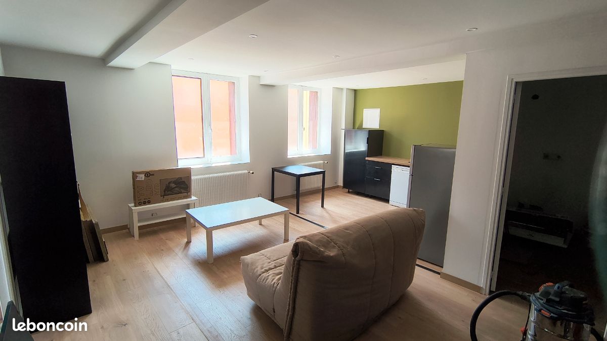 Appartement 3 pièces 55 m² · à Saint-Étienne · 55 m² · 350 €
