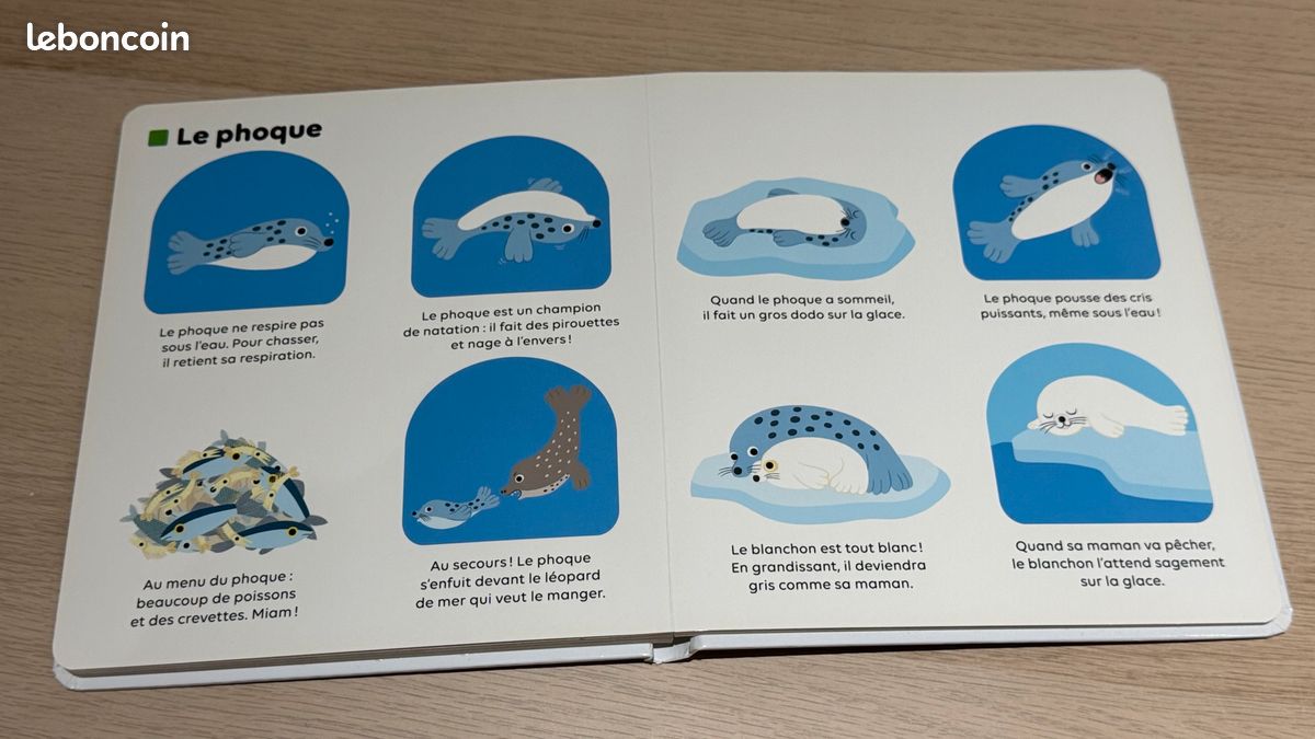 Milan - Les animaux du froid (image 11)