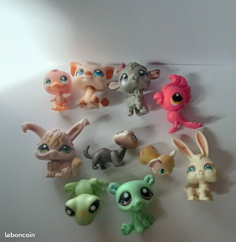 Petshop (image 1)
