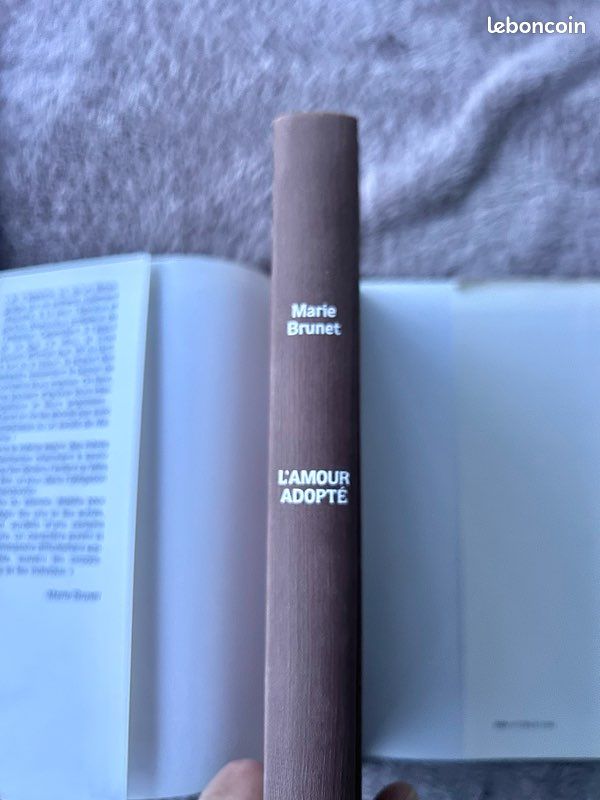 Livre « L’Amour Adopté » de Marie Brunet (image 12)