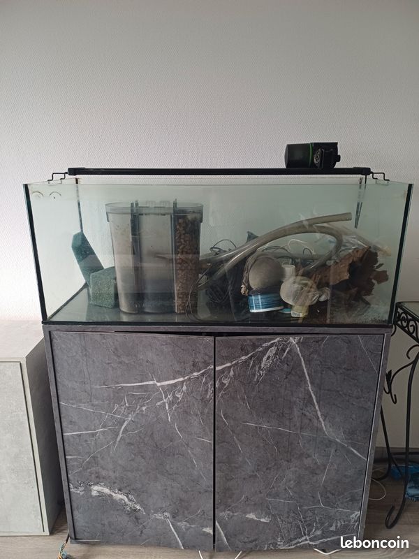 Aquarium 160 litres + environnement (image 1)