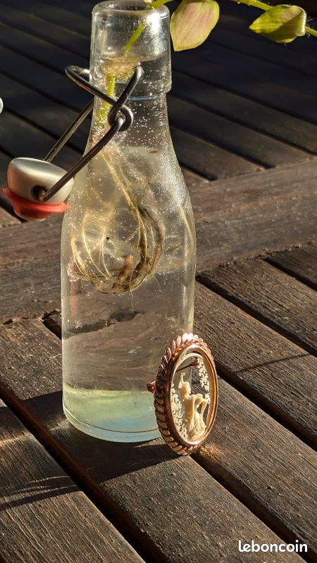 Broche Vintage En Celluloïd Peinte Et Signée - Bon état D'usage, Occasion