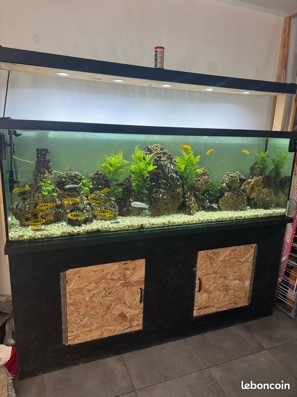 Aquarium complet (image 1)