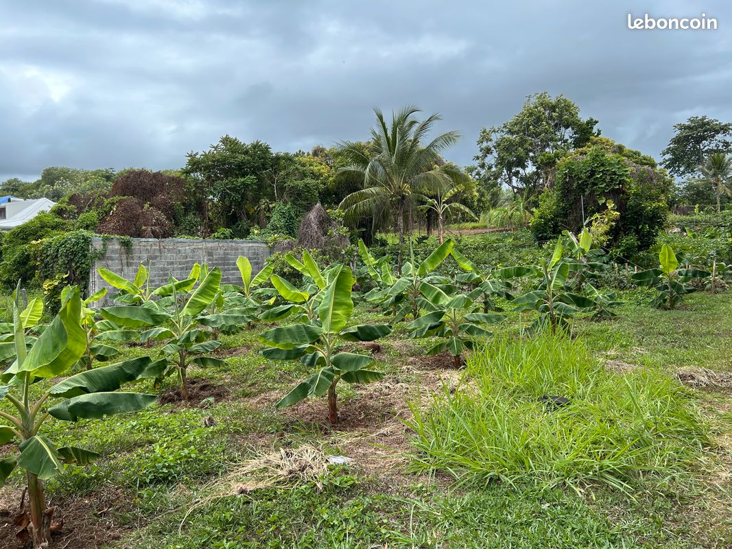 EXCLUSIVITÉ - Terrain constructible 2385 m² – Changy, Capesterre-Belle-Eau (971) – Viabilisé · 225 621 €