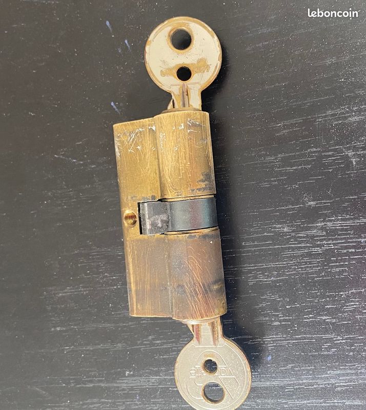 Cylindre de serrure pour porte (image 1)