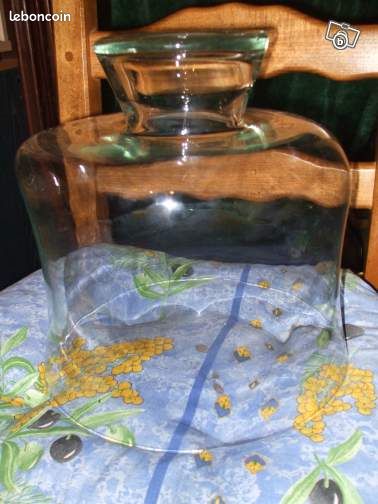 Aquarium neptune en verre (image 2)