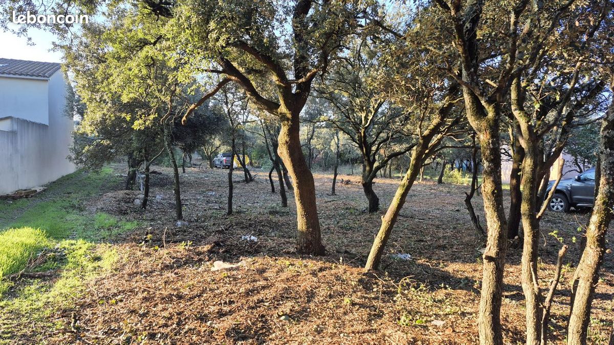 Terrain 801 m² Grillon · 92 000 €