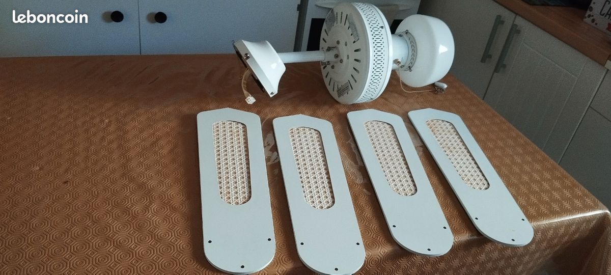 Ventilateur de plafond avec éclairage (image 1)