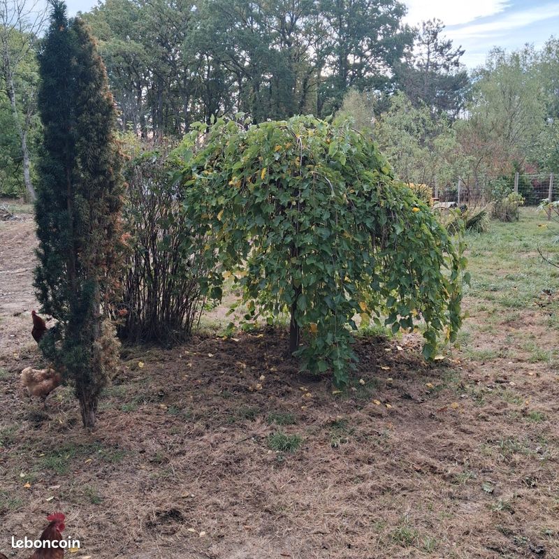 Terain · à Lantages · 29 000 €