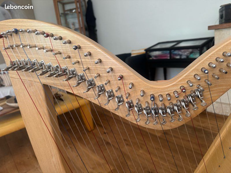 Harpe celtique 29 cordes avec housse très bon état (image 4)