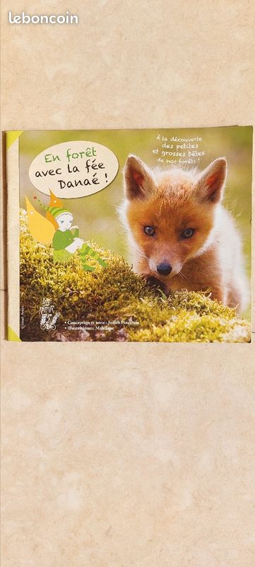 Livre enfant en forêt avec la fée danaé (image 1)