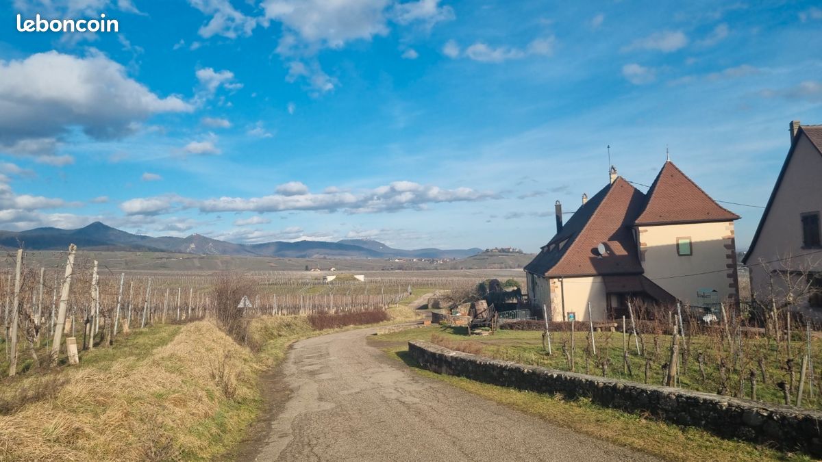 Couple de retraités recherche TERRAIN constructible sur route des vins secteur Turckheim -Ribeauvillé- Bergheim · 180 000 €