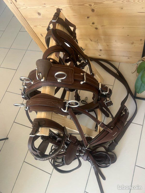 Ancien Harnais Cheval Avec éperon Argent Et Acier – Orné étoile Buermann – Vintage 10323