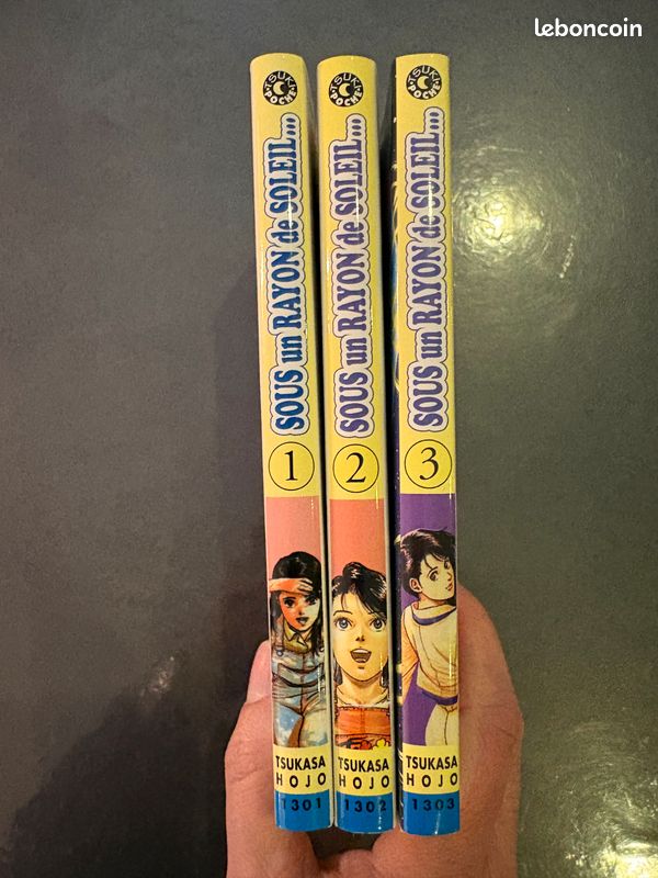Intégrale Manga SOUS UN RAYON DE SOLEIL Tomes 1 à 3 Ed TONKAM Tsukasa Hojo 2001 - 2002 (image 2)