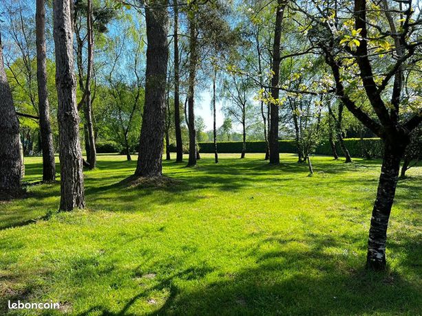 Terrain 2 800 m² Plesse