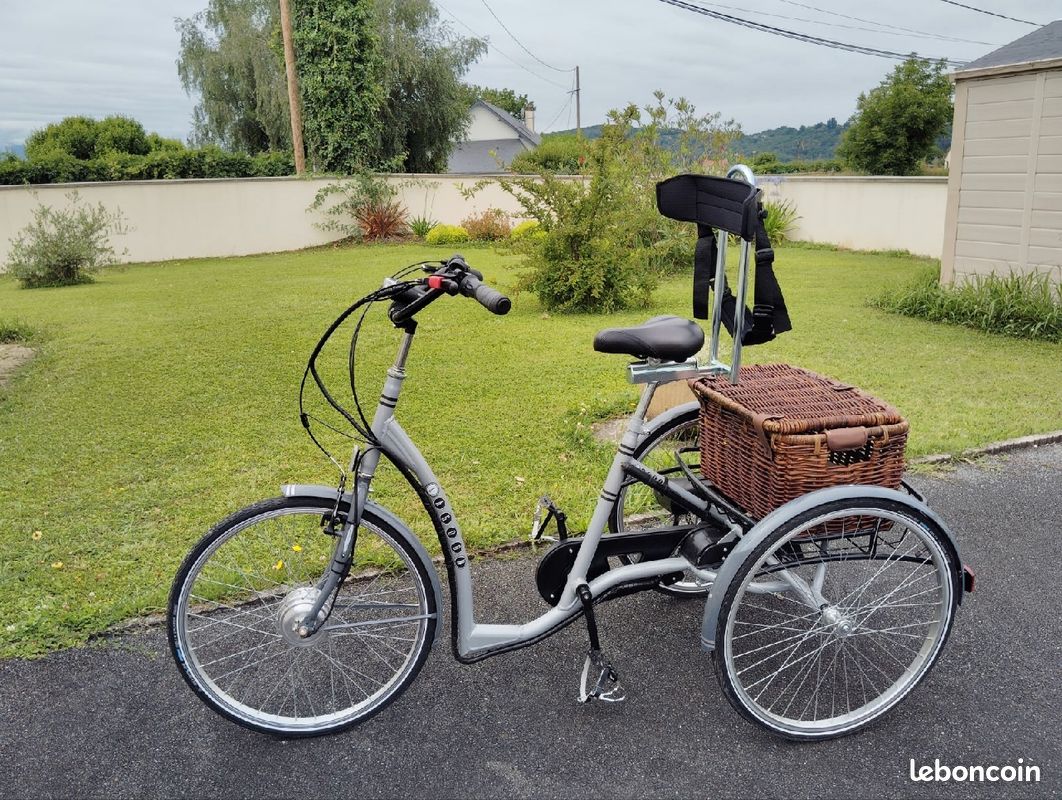 Tricycle avec assistance électrique (image 1)