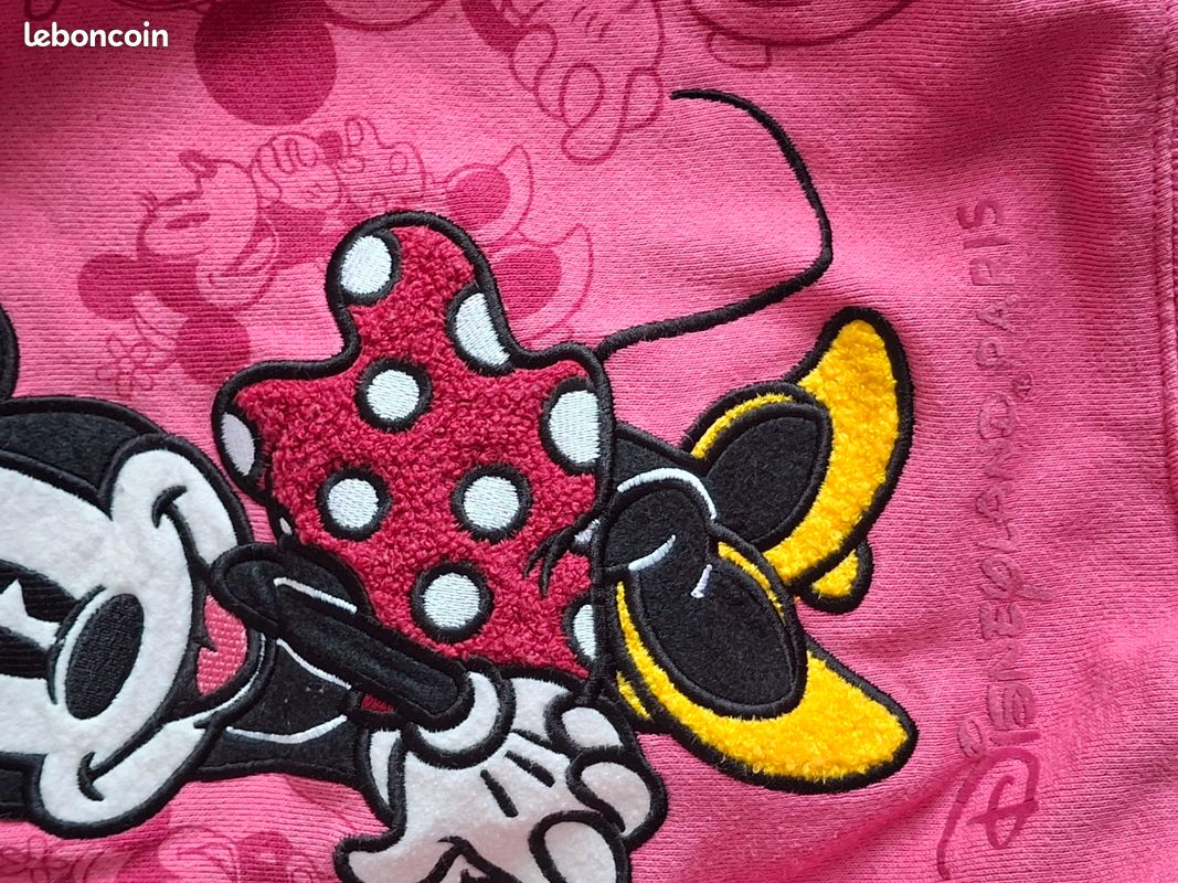Gilet Disneyland paris 12 ans (image 3)