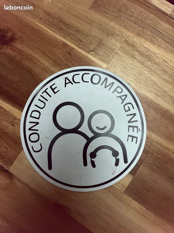 Disque magnétique conduite accompagnée (image 1)
