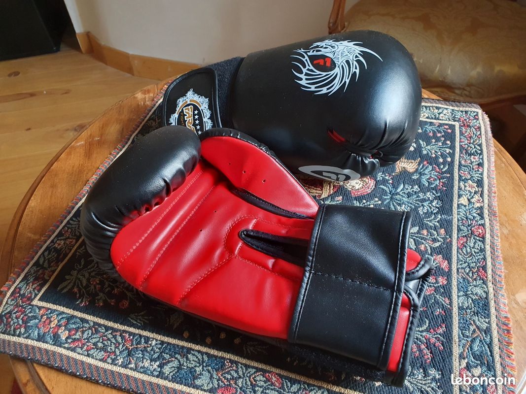 Farabi Sports Gants De Boxe Enfant Muay Thai Kickboxing Avis Le Verdict Sans Concession Sur Lequipement Des Futurs Champions