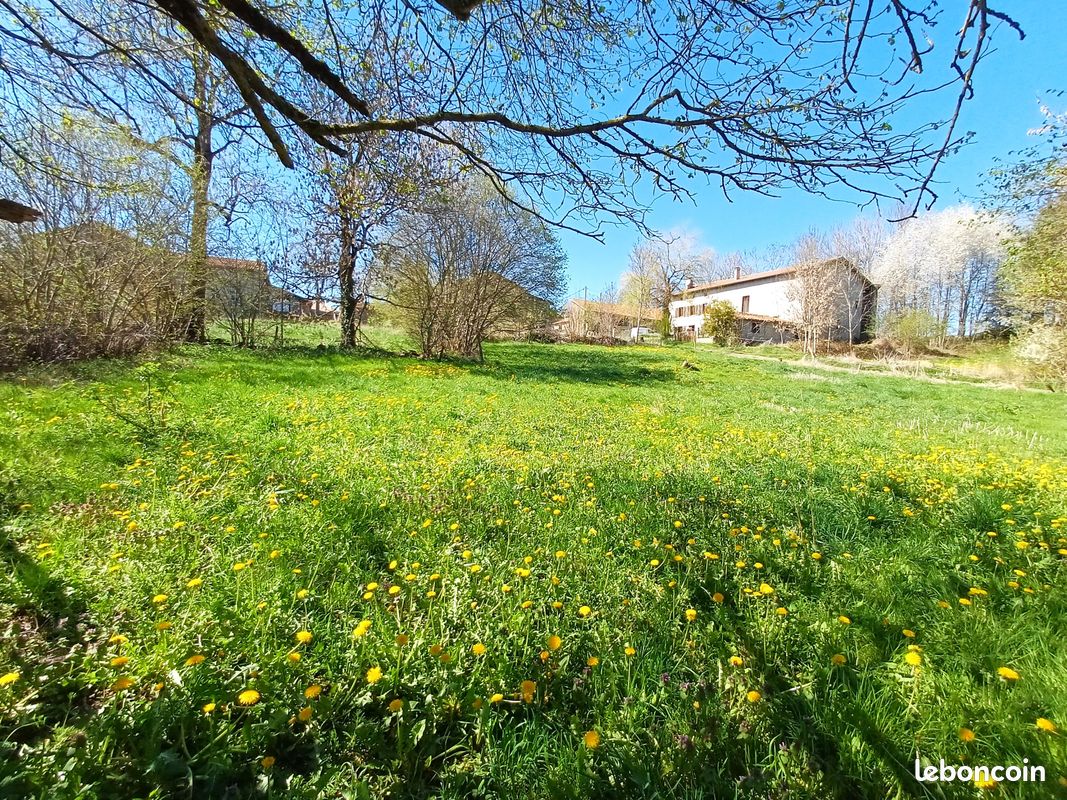 Terrain 1127 m² · à Chomelix · 1 127 m² · 15 800 €