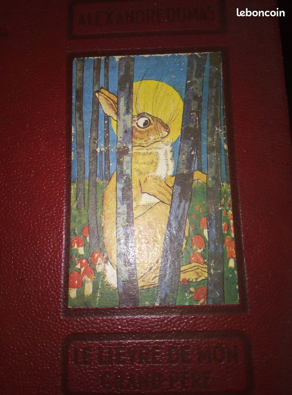 Livre jeunesse LIEVRE DE MON GRAND PÈRE 1937. Alexandre DUMAS (image 1)