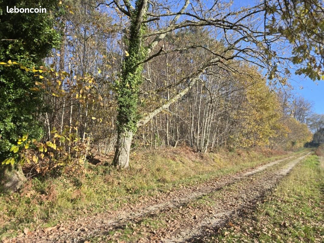 Terrain 14460 m² · à Villamblard · 38 500 €